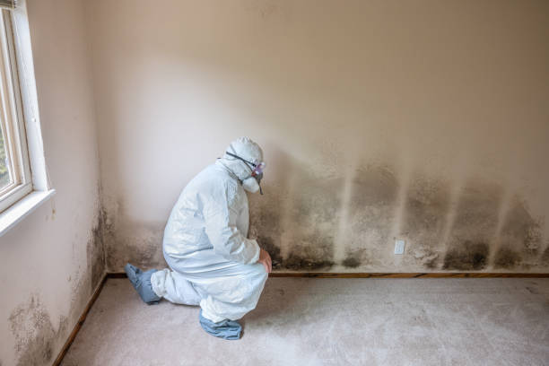 Best Residential Mold Removal  in Granite, OK