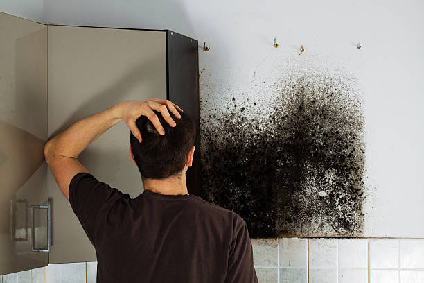 Best Mold Removal Process  in Granite, OK