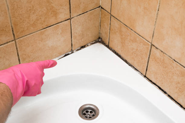Best Mold Cleaning Services  in Granite, OK